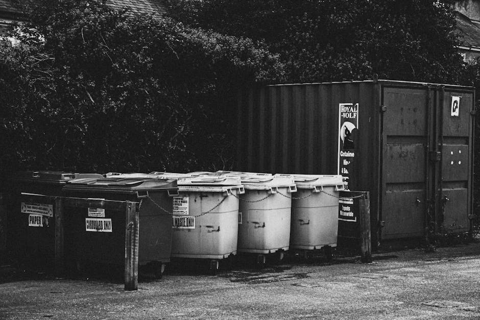 In the foreground, five large wheeled rubbish bins are lined up on a paved surface, with three of them designated for general waste and two for recyclable or specific waste types, as indicated by labels on their sides. The bins are made of durable plastic with textured surfaces, and their lids are closed, some with visible handles for opening. Behind these bins, a taller, corrugated metal container, possibly a skip, is positioned upright, painted in a dark colour, and features visible latches and hinges on its doors. To the left of the bins, a short wooden barrier with a sign is partially visible, suggesting a designated waste area. The background reveals a dense cluster of trees and shrubbery, creating a natural environment behind the waste collection site. The scene is illuminated by natural daylight, casting subtle shadows on the ground and containers, emphasizing the utilitarian setting typical of private waste handling or independent rubbish collection points managed by Waste Clearance Merton, serving local rubbish removal needs outside traditional council services.